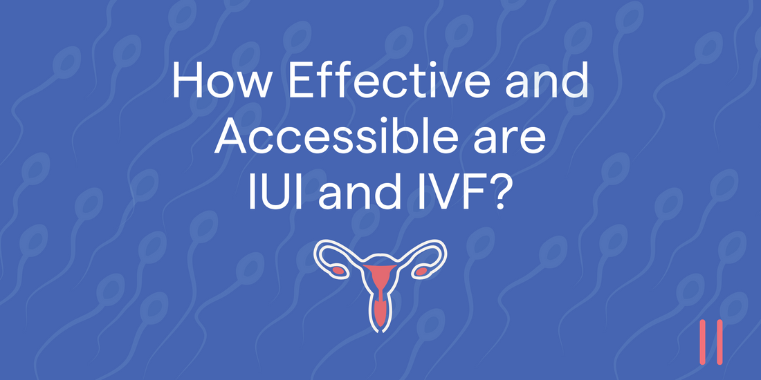 Assessing the Efficacy and Accessibility of Reproductive Technologies